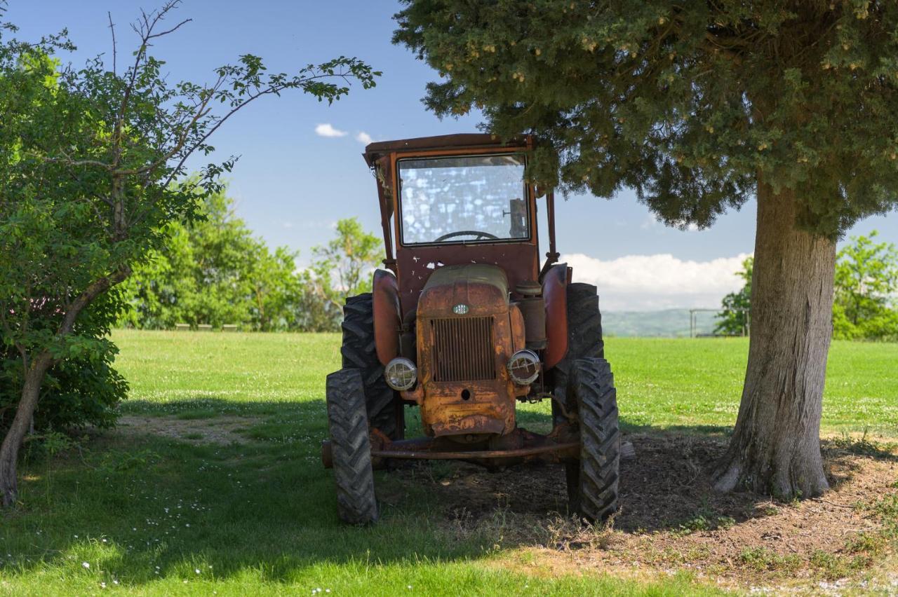 Agriturismo Cretaiole Pienza Eksteriør billede