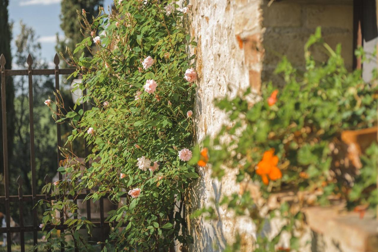 Agriturismo Cretaiole Pienza Eksteriør billede