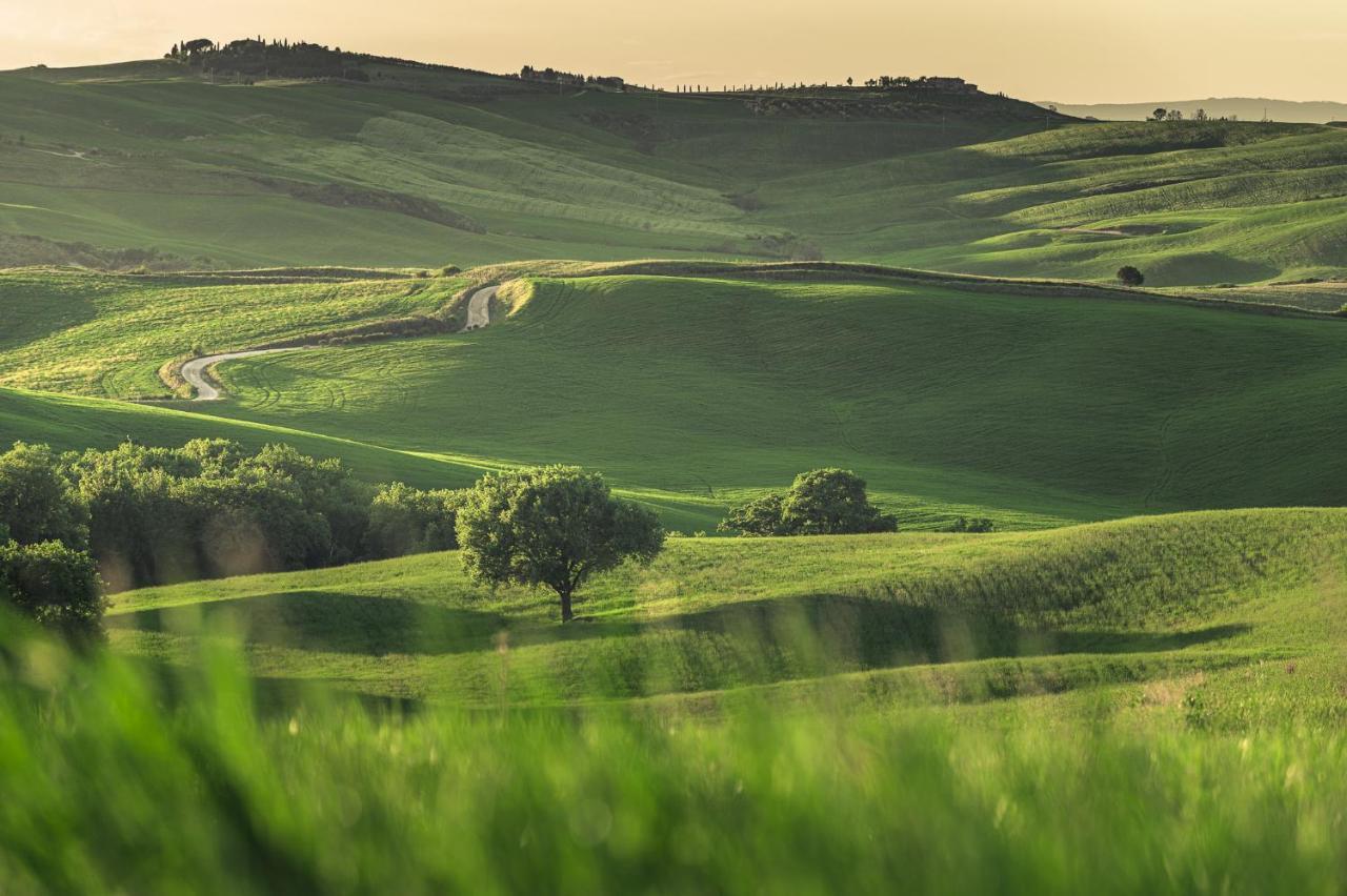 Agriturismo Cretaiole Pienza Eksteriør billede