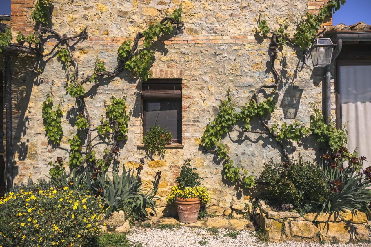 Agriturismo Cretaiole Pienza Eksteriør billede